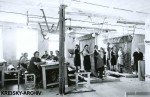 Teppichfabrik 1955 
